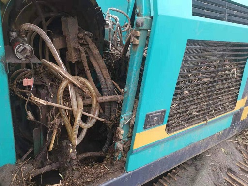 苦难无情，3499拉斯维加斯线路有爱：逾越万水千山增援肯尼亚客户