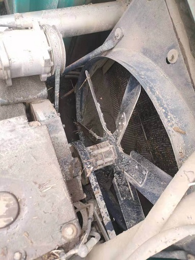 苦难无情，3499拉斯维加斯线路有爱：逾越万水千山增援肯尼亚客户