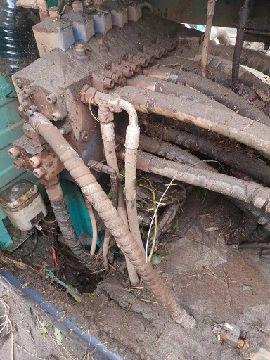 苦难无情，3499拉斯维加斯线路有爱：逾越万水千山增援肯尼亚客户