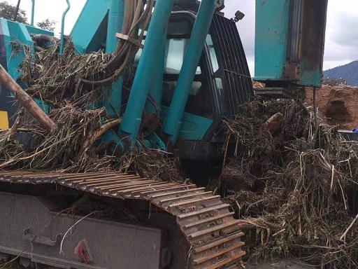 苦难无情，3499拉斯维加斯线路有爱：逾越万水千山增援肯尼亚客户