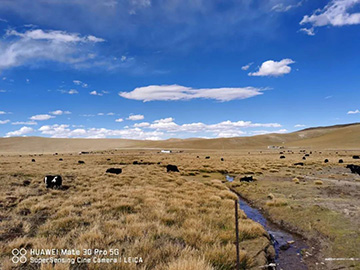 心系3499拉斯维加斯线路情，追梦阿里行！