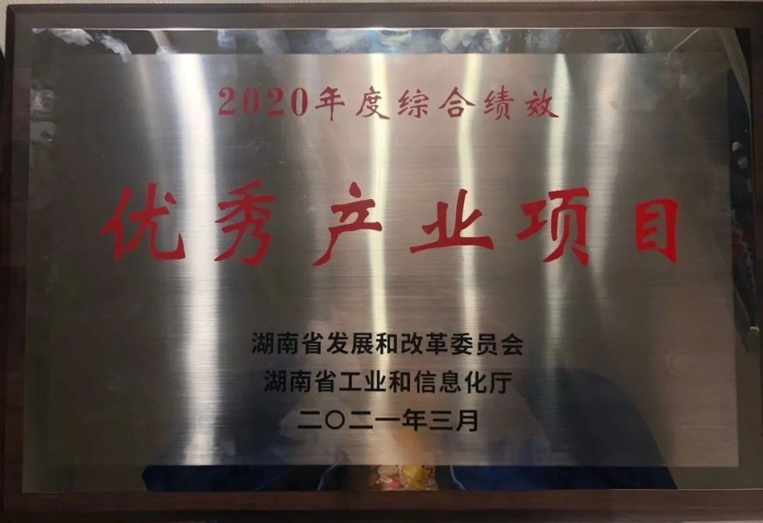 3499拉斯维加斯线路智能获评湖南“2020年度综合绩效优良产业项目”