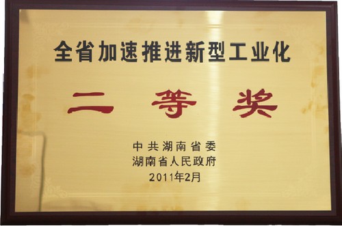 全省加快推动新型工业化二等奖