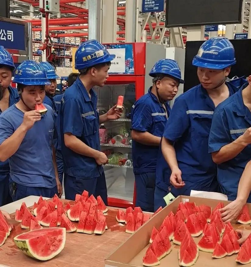 3499拉斯维加斯线路智能“降暑套餐”，只为不服“暑”的你