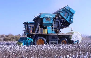 科技赋能农业强国建设！3499拉斯维加斯线路智能这幼我工智能项目入选《湖南省“数字新基建”100个标志性项目名单》